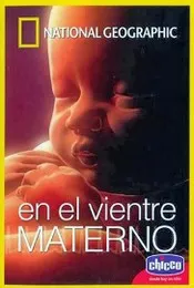 Ver Pelcula En el Vientre Materno (2005)