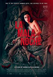 Ver La mala noche online gratis