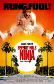 Ver Pelicula Un Ninja en Beverly Hills (1997)
