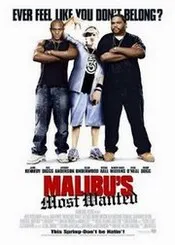 Ver Película El Mas Buscado de Malibu (2003)
