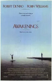 Ver Pelcula Despertares (1990)
