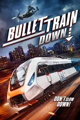 Ver Tren Bala Abatido online gratis