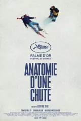 Ver Anatomía de una caída online gratis