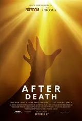 Ver Después de la muerte online gratis