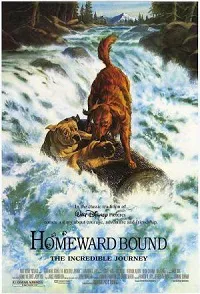 Ver Pelcula Volviendo a casa (1993)