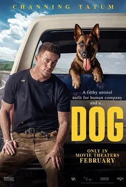 Póster de la película Dog: Un viaje salvaje online