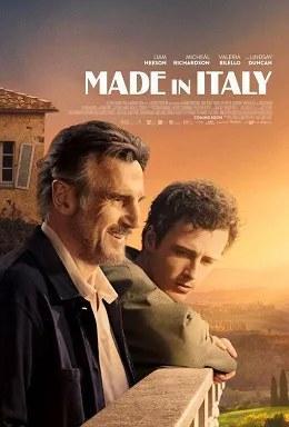 Ver Película Amor a la italiana (2020)