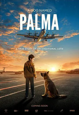Ver Película Palma (2021)