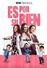 Póster de la película Es por su bien online