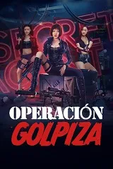 Ver Operación golpiza online gratis
