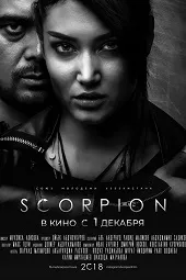 Ver Scorpion online gratis