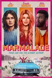 Ver Cómplice en fuga online gratis