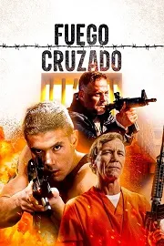 Ver Fuego Cruzado online gratis
