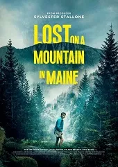 Ver Perdido en la montaña online gratis