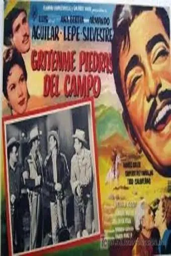 Póster de la película Grítenme piedras del campo online