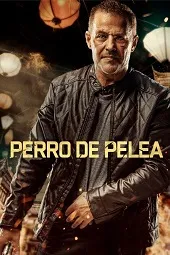 Ver Perro de Pelea online gratis