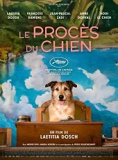 Ver El juicio del perro online gratis