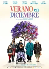 Ver Verano en diciembre online gratis