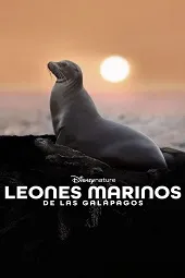 Ver Los leones marinos de las Galápagos online gratis