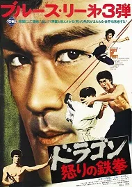 Ver Furia Oriental online gratis