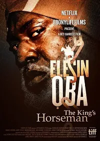 Ver El caballero del rey online gratis