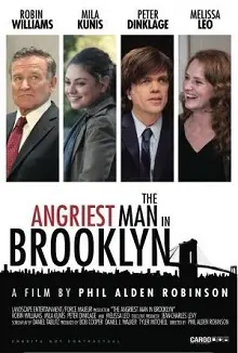 Ver Un loco suelto en Nueva York online gratis