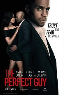 Ver El tipo perfecto online gratis
