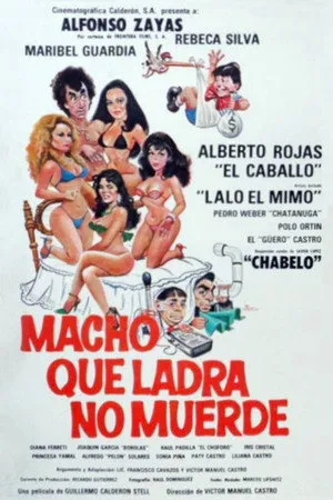 Ver Macho que Ladra no Muerde online gratis