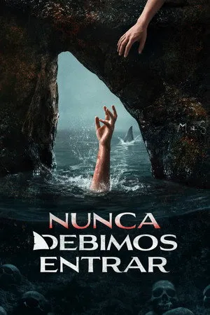 Ver Nunca debimos entrar online gratis