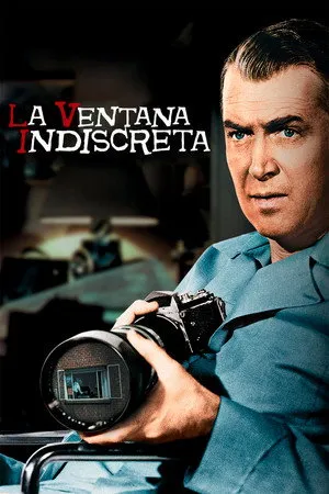 Ver La ventana indiscreta online gratis