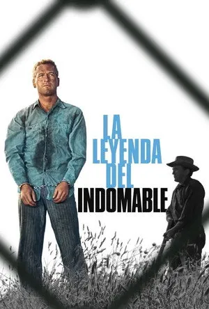 Ver La leyenda del indomable online gratis