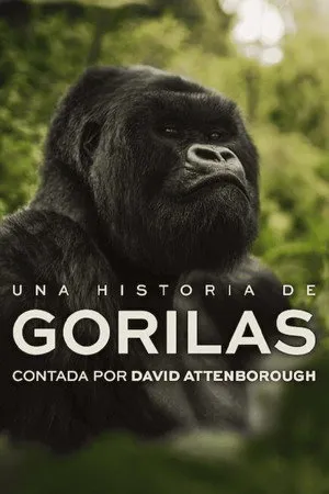 Ver Una historia de gorilas contada por David Attenborough online gratis