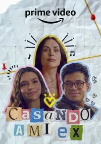 Póster de la película Casando a mi ex online