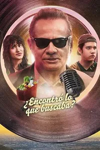 Póster de la película ¿Encontró lo que buscaba? online