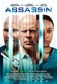 Ver Assassin online gratis