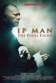 Ip Man 4: La Ultima Pelea