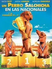 Ver Pelcula Un Perro Salchicha en las Nacionales (2013)