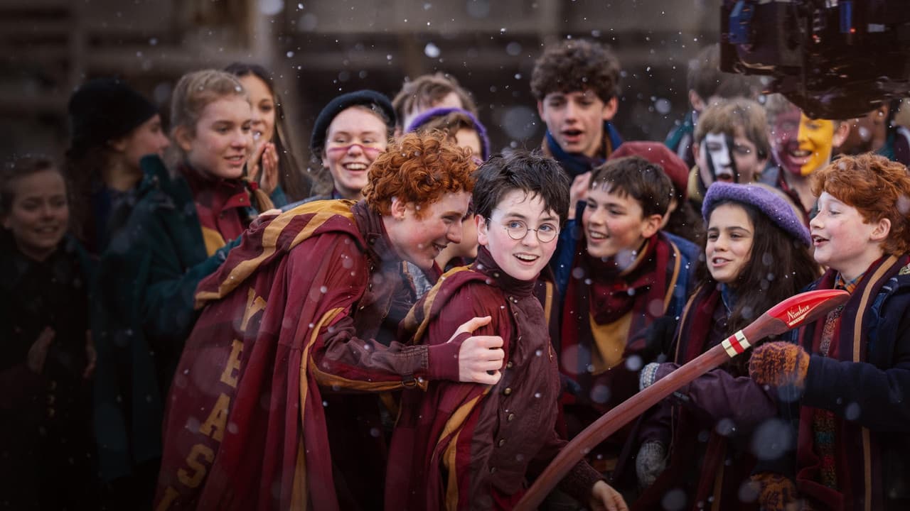En busca de Harry (2026): De qué trata, reparto y secretos