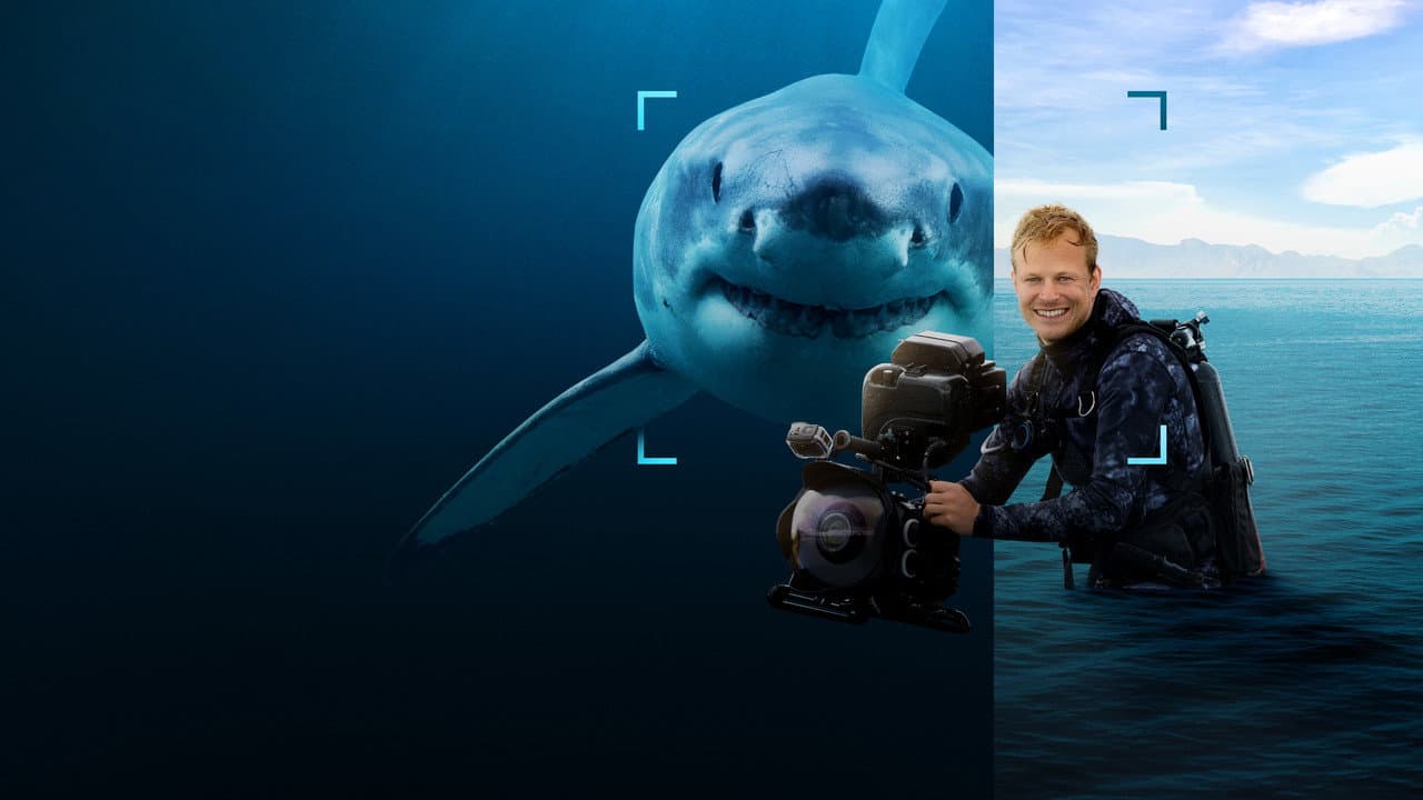 Tiburones de cerca con Bertie Gregory: Tensión extrema y naturaleza salvaje en National Geographic