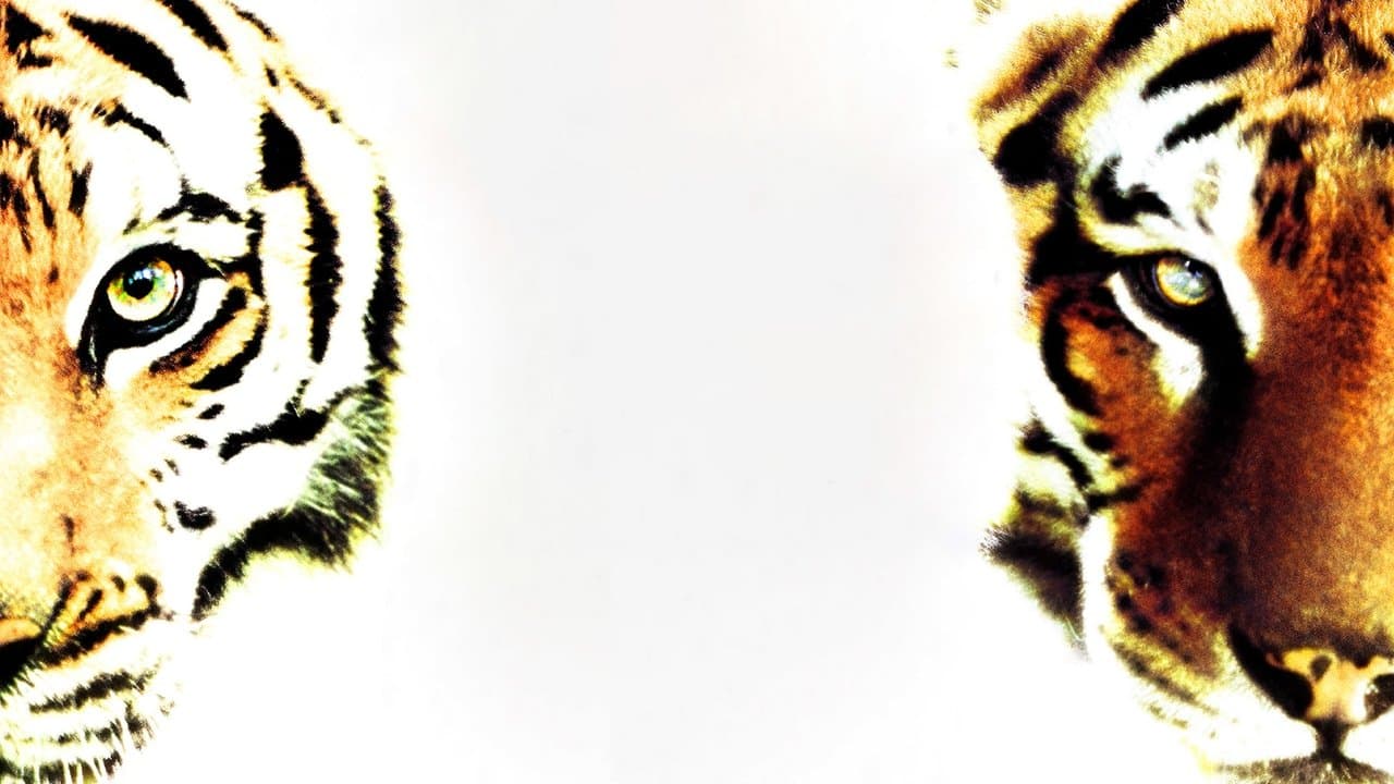 Dos hermanos (2004): Secretos de Rodaje, Curiosidades y el Increíble Desafío de Grabar con Tigres Reales