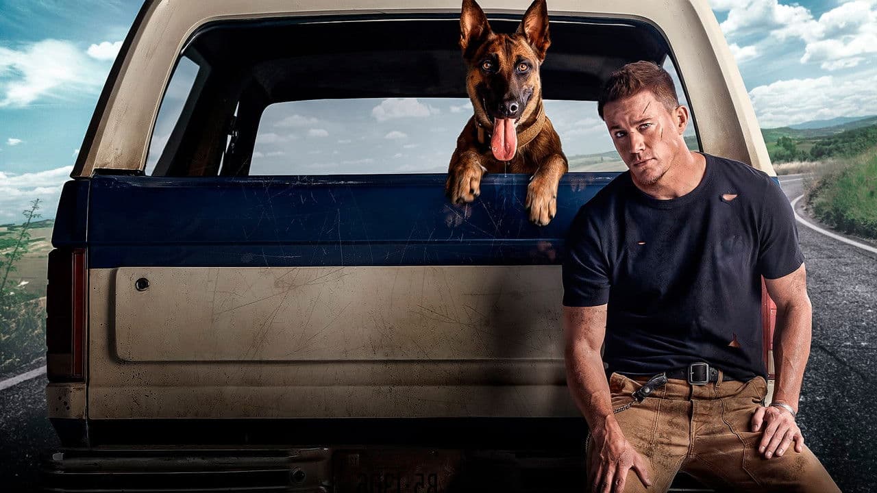 Dog: Un viaje salvaje (2022) - El emotivo tributo canino que conquistó la taquilla: Secretos de rodaje y crítica